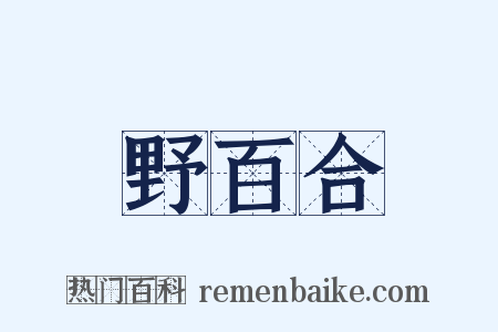 野百合是什么意思的图片
